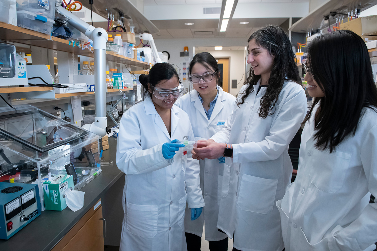 Investing in the Future of Chemical Engineering