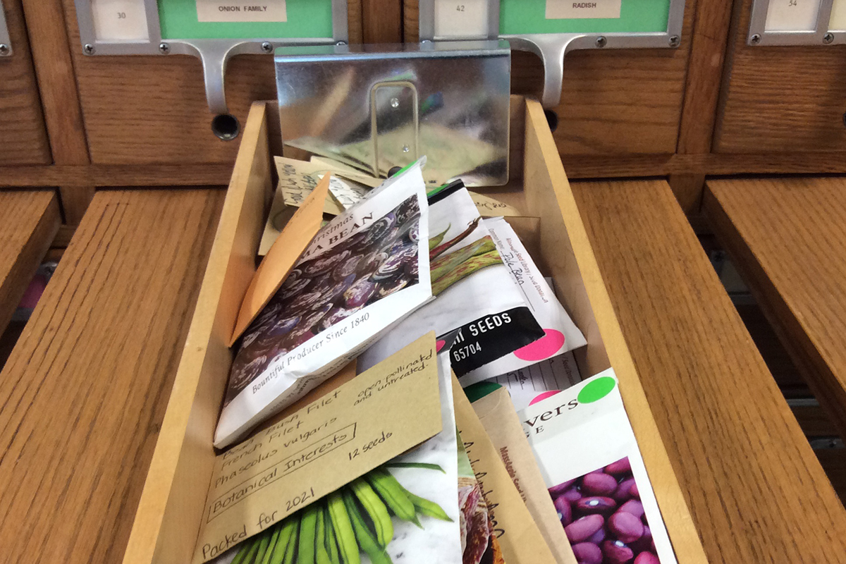 Sustainability, Scholarship, and Seed Sharing