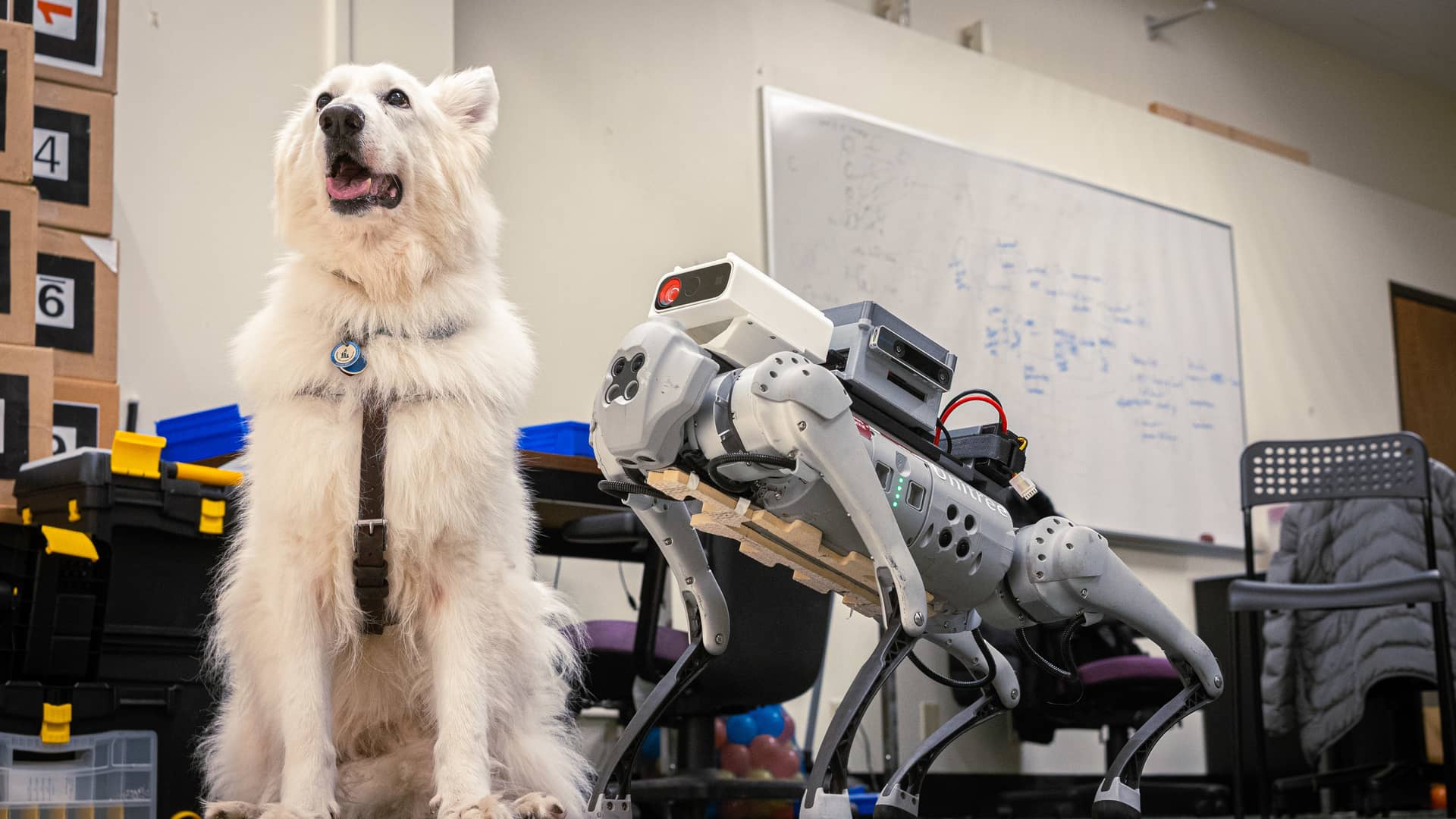 Dog sitting next to a robot