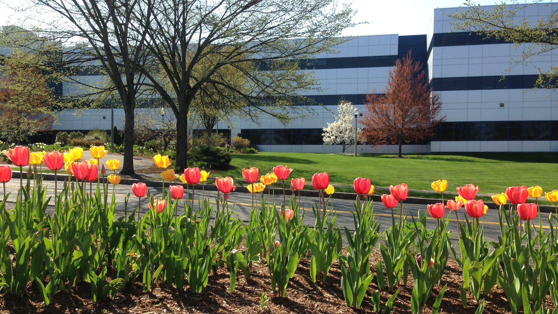 CICS building with flowers