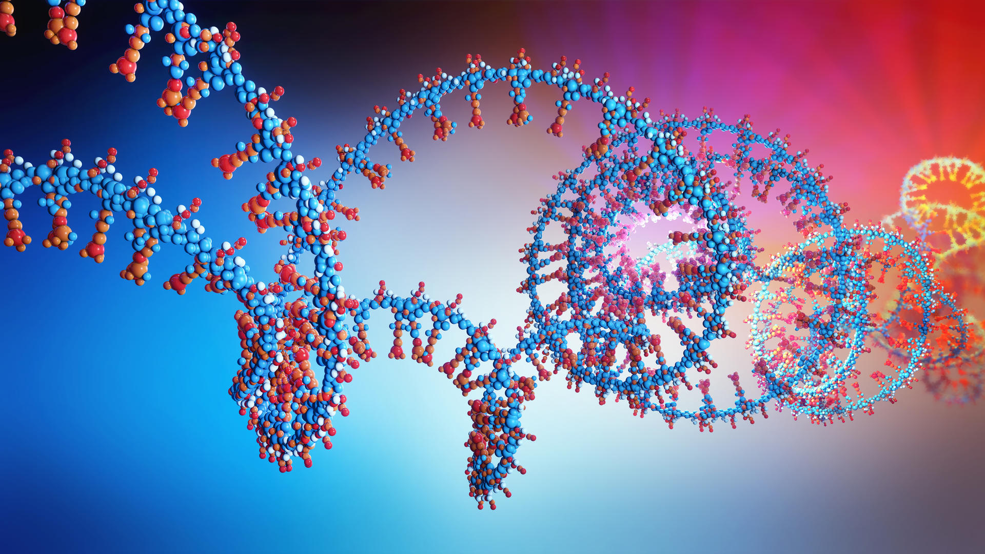 3D model of RNA