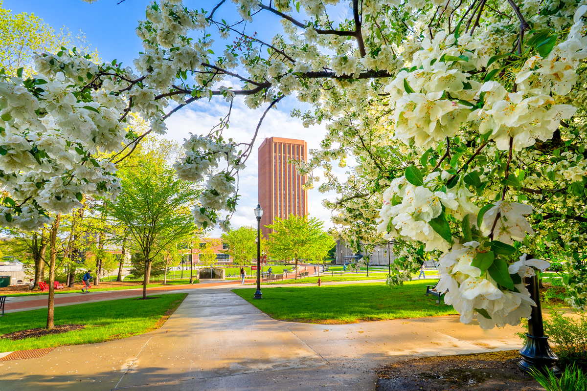 UMass Changed Her Life. Now, She’s Paying It Forward